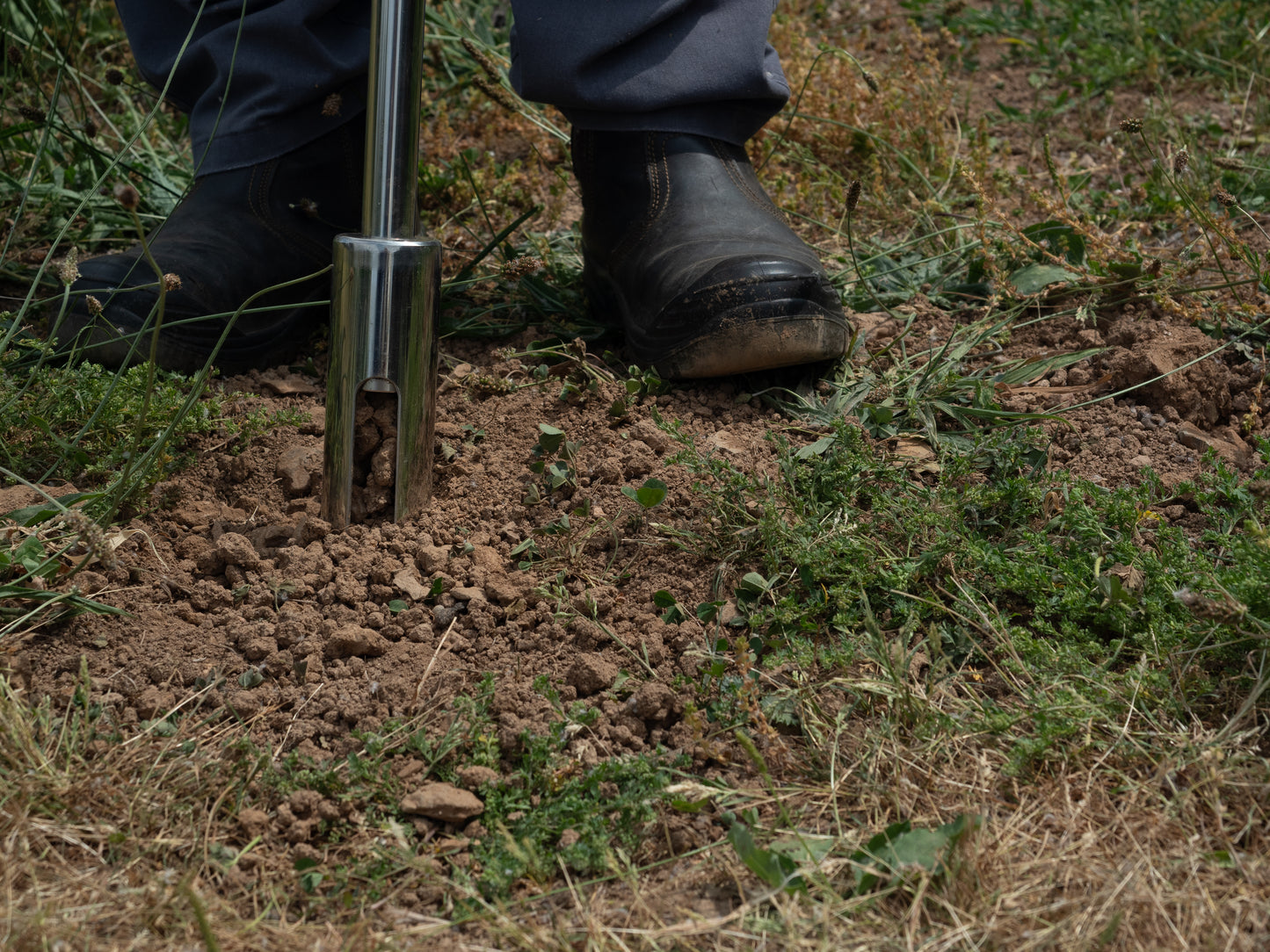 Stainless Steel Soil Corer (45mm x 30mm Diameter)