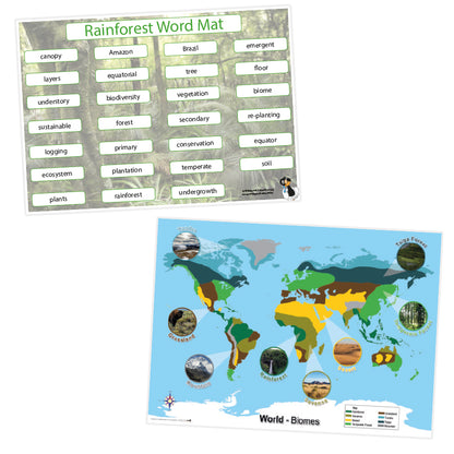 Rainforests Curriculum Pack (KS1)