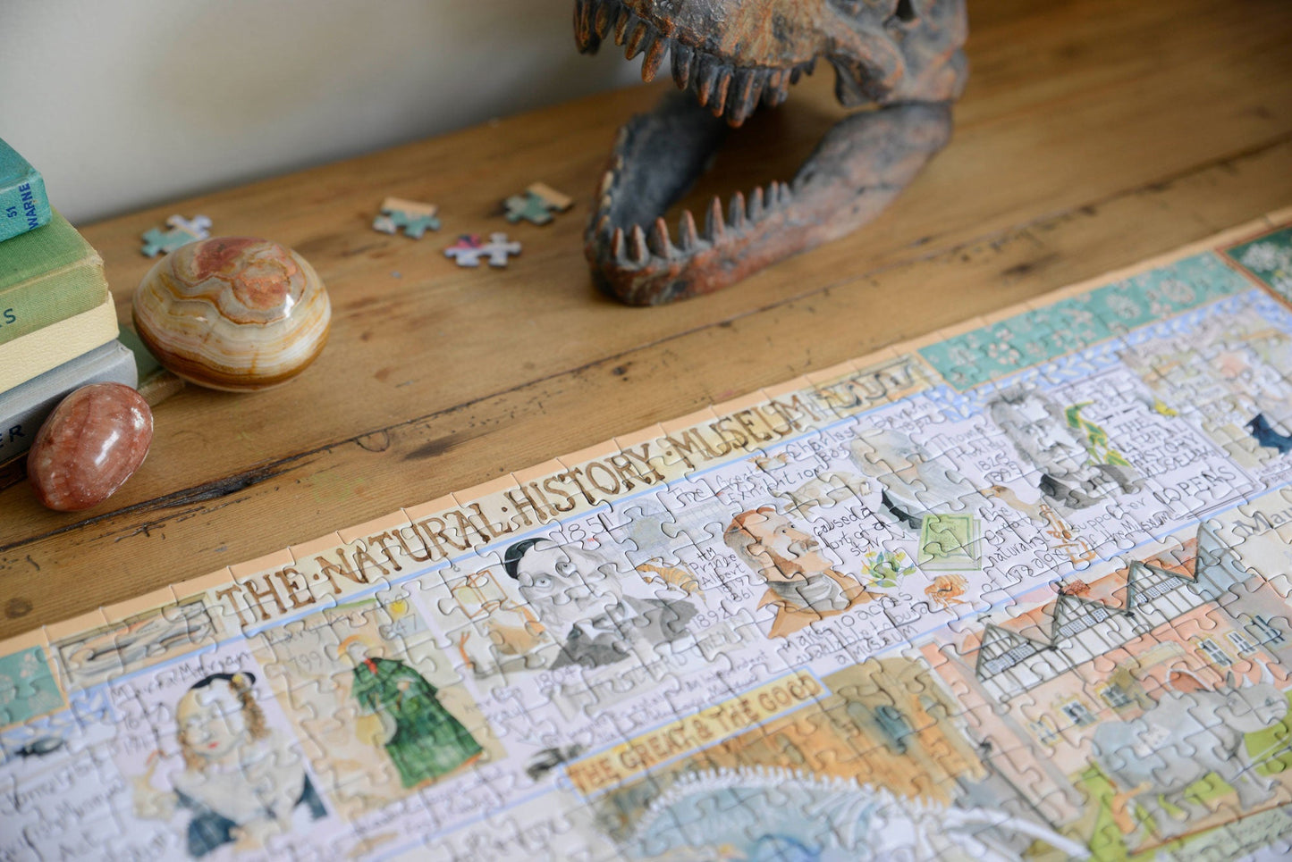 Tim Bulmer - Natural History Museum 1000 Piece Jigsaw