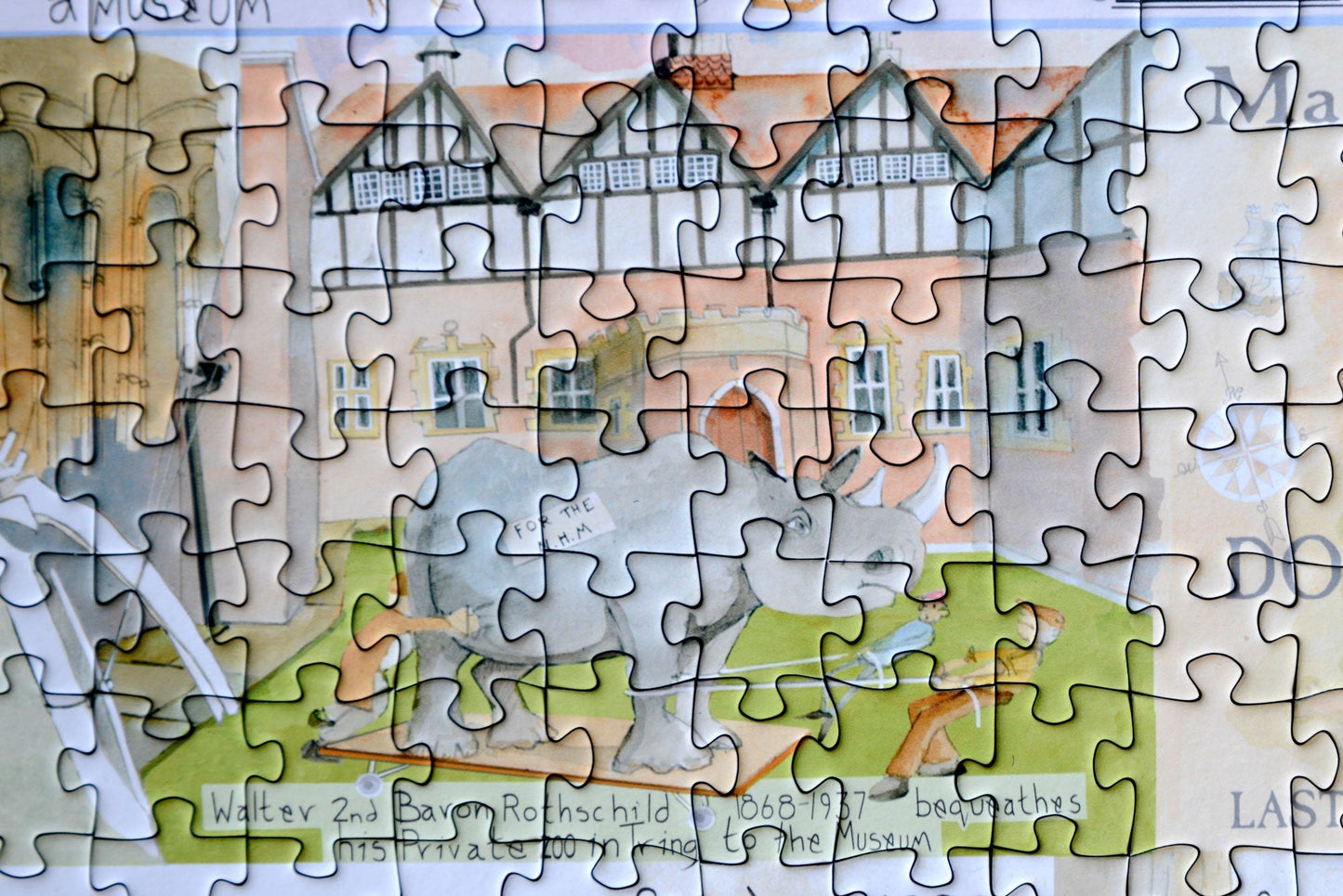 Tim Bulmer - Natural History Museum 1000 Piece Jigsaw