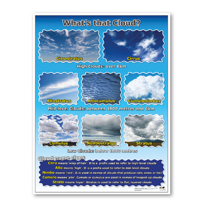 Water Cycle Curriculum Pack (KS1)