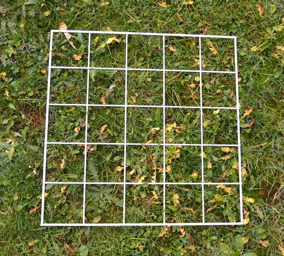 Quadrats - for sampling plants