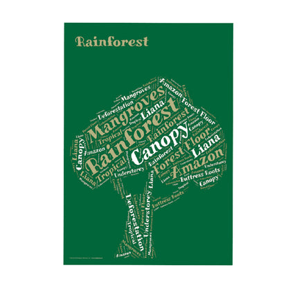 Rainforests Curriculum Pack (KS1)