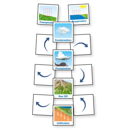 Water Cycle Curriculum Pack (KS1)