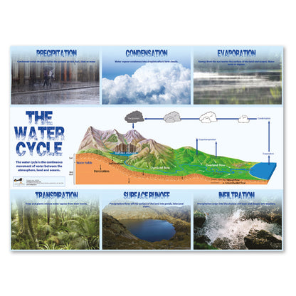 Water Cycle Curriculum Pack (KS1)