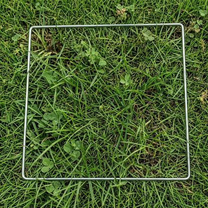 Single Square Quadrat - for sampling plants
