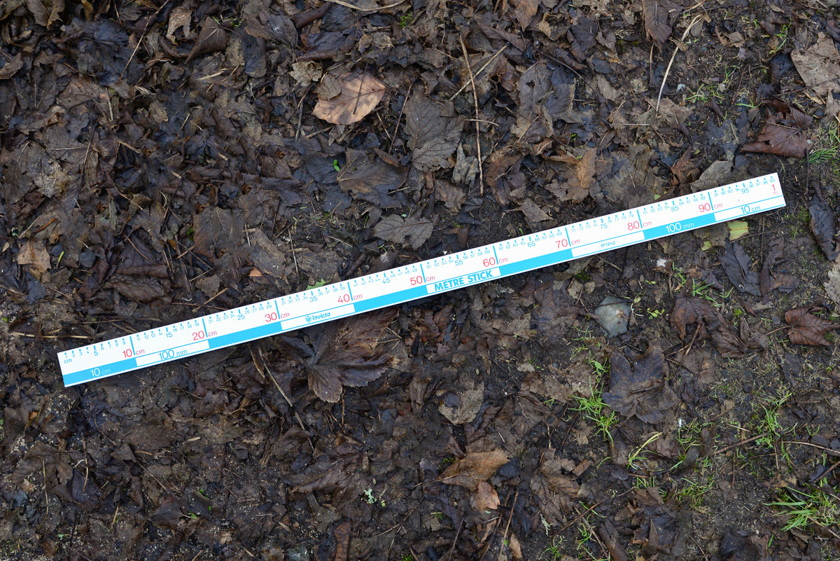 Plastic One-Metre Rule | Geography Resources – Geopacks