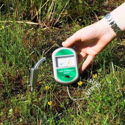 Light And Moisture Meter