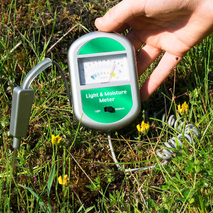 Light And Moisture Meter